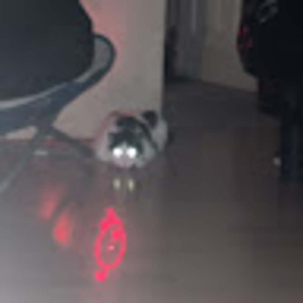 Meet your Posher, Shee